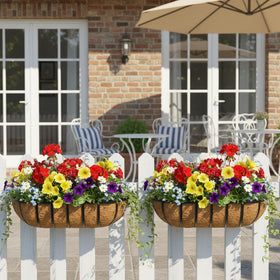 EIMQUVW metal frame with coconut liner resists weather while showcasing greenery.