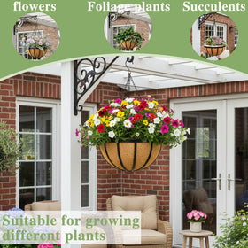 EIMQUVW coco liner enhances airflow and drainage in hanging planters
