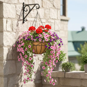 EIMQUVW strawberries thriving in hanging basket for fresh fruit potentials.