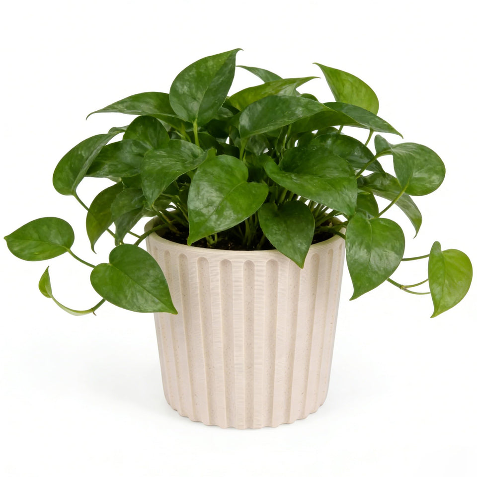 Ekirlin 7-Inch Indoor Pot in natural resin adds durable, stylish home decor.