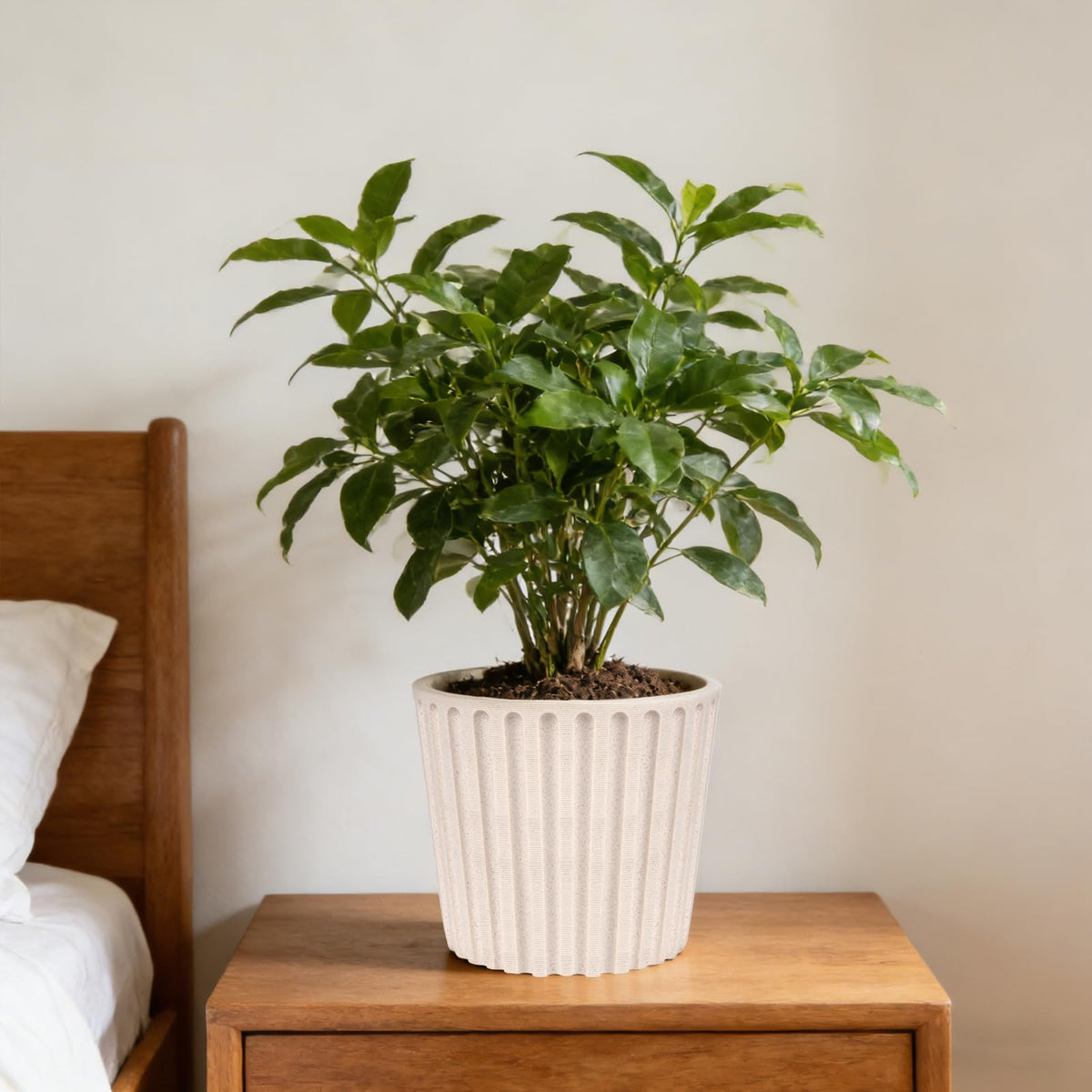 Ekirlin durable eco-friendly resin resists weathering for long-lasting use.