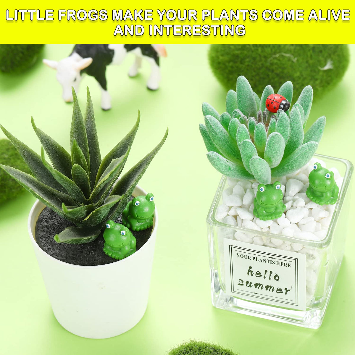 EKisemio succulent planter frogs fit tight corners of pots.
