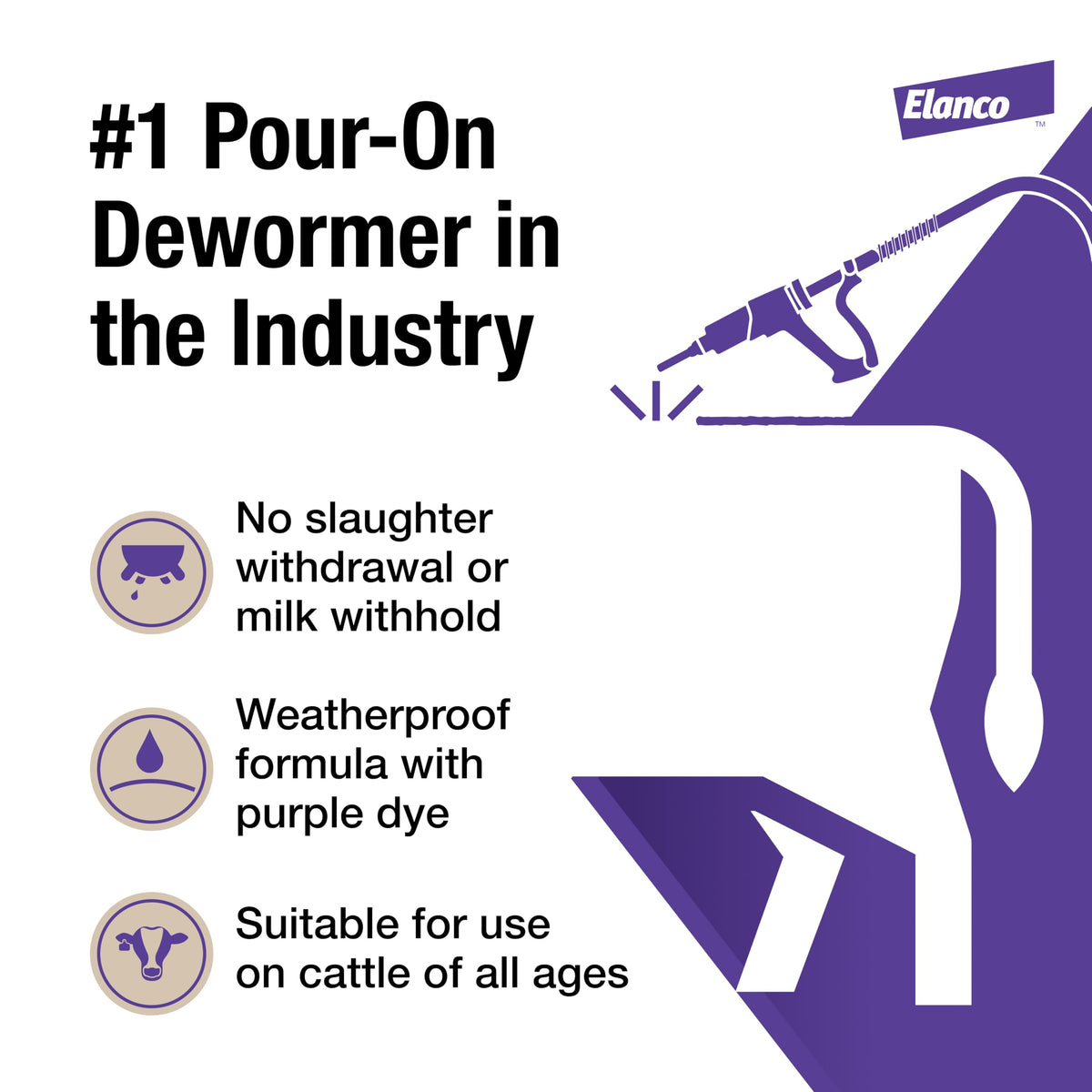Pour-On being applied to a cow in pasture for convenient deworming