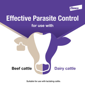 Beef cattle standing calmly during pour-on treatment, ready-to-use parasiticide
