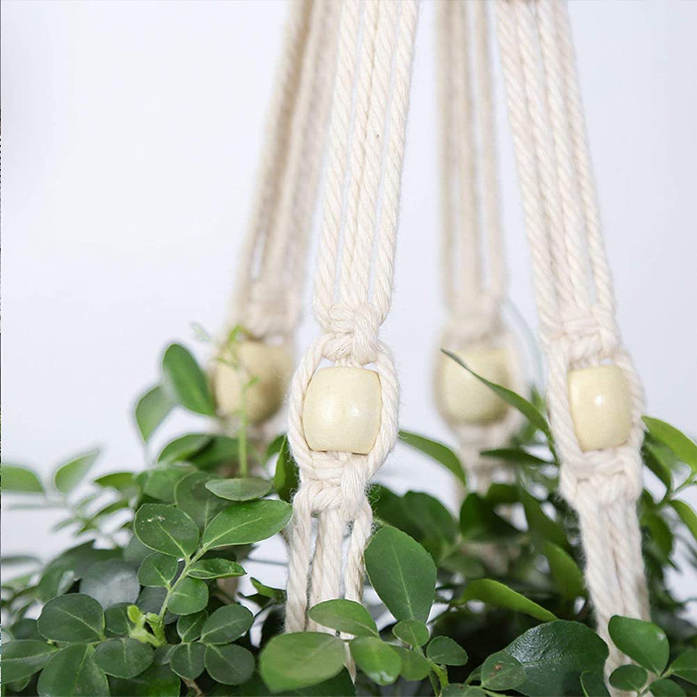 ELANE indoor-outdoor setup demonstrates versatile plant display options
