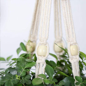 ELANE indoor-outdoor setup demonstrates versatile plant display options