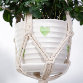ELANE vertical display keeps plants out of reach of pets