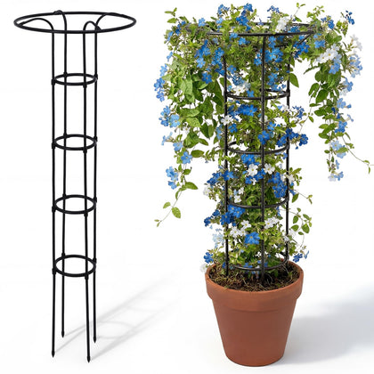ElaraBerry 63-inch garden obelisk trellis with mushroom top supports climbing roses and vines.