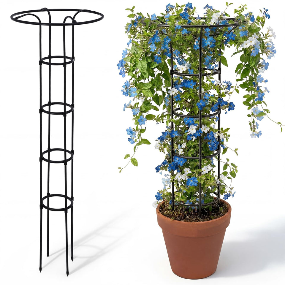 ElaraBerry 63-inch garden obelisk trellis with mushroom top supports climbing roses and vines.