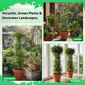 ElaraBerry rose-climbing trellis guiding vines with a stylish mushroom top design.