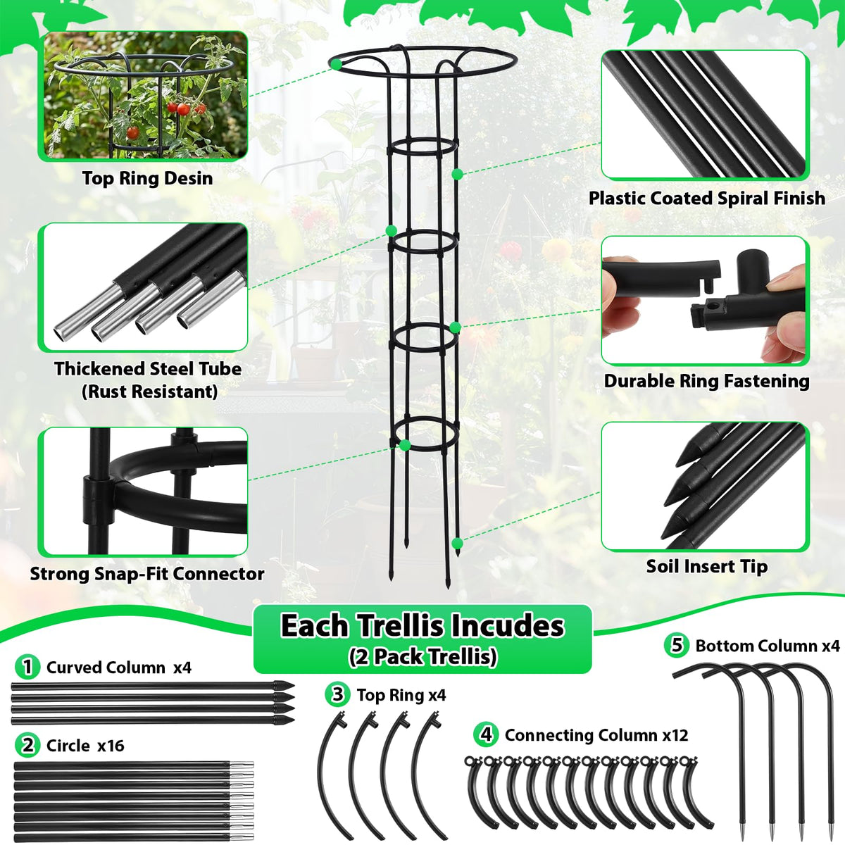 ElaraBerry two-pack garden obelisk trellis set for multiple climbing plants in harmony.