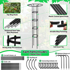 ElaraBerry two-pack garden obelisk trellis set for multiple climbing plants in harmony.