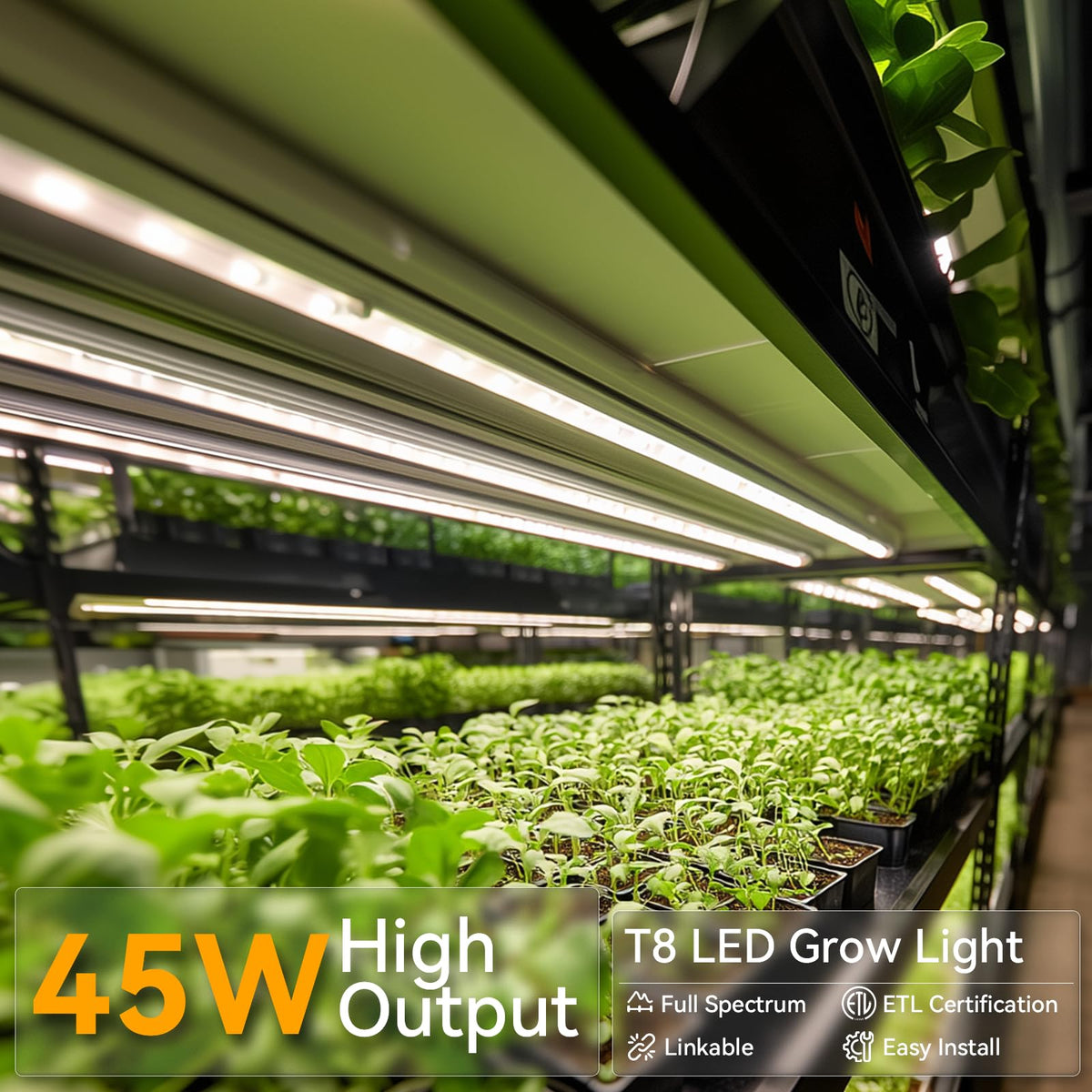Elaruslux 5000K full-spectrum LED provides daylight-like illumination for seedlings