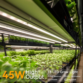 Elaruslux 5000K full-spectrum LED provides daylight-like illumination for seedlings