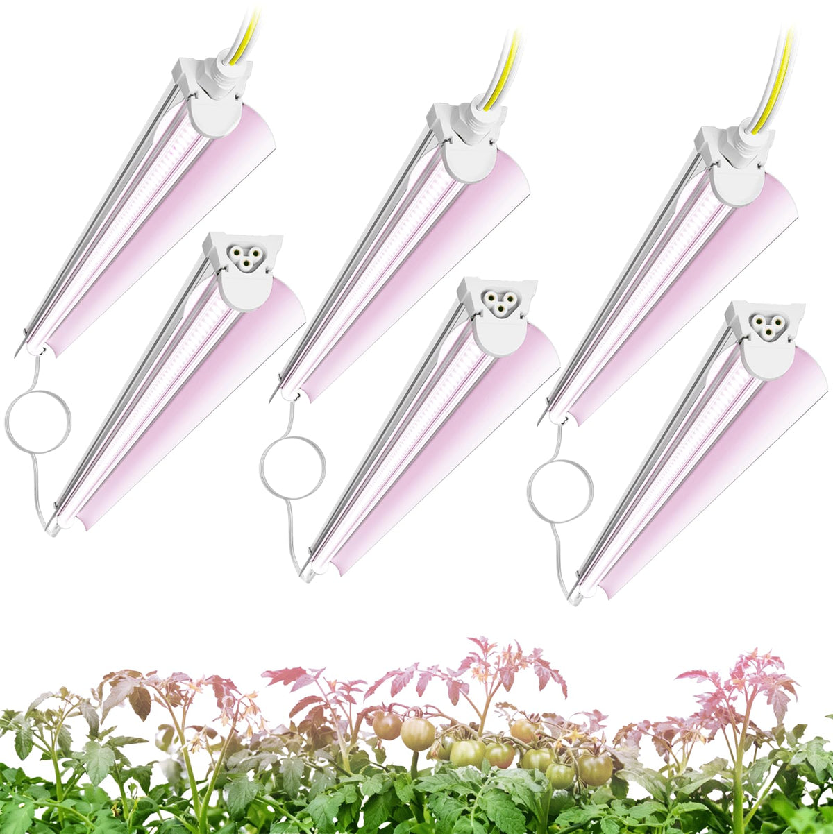 Elaruslux 6-pack 4ft grow light front view for compact indoor setup