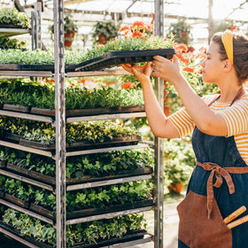 Elcoho garden propagator kit is ideal for starting flowers, herbs, and vegetables.