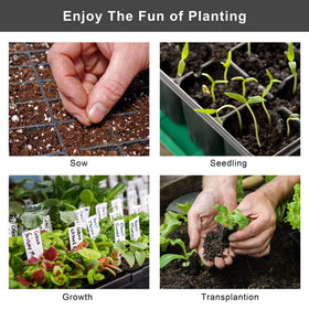 Elcoho sloped ventilated seedling tray promotes drainage and air circulation for strong roots.
