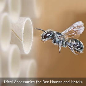 Elcoho white kraft paper inserts, sturdy and non-toxic for bee habitats.