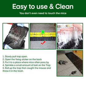 ELEGENZO eco-friendly design visible in packaging for safe home use