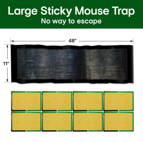 ELEGENZO sticky mouse trap on floor highlighting bait area for quick setup