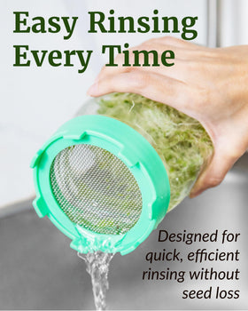 Invert and drain for efficient air circulation during sprouting