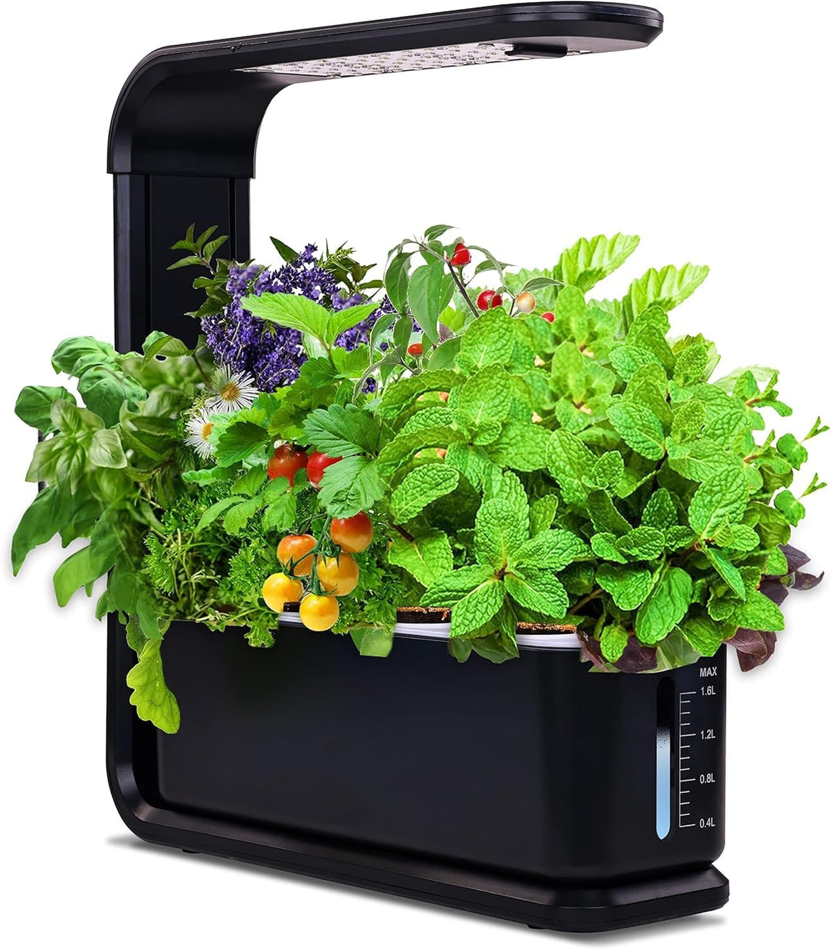 Elevon 12-Pod hydroponic system front view for compact indoor gardening.
