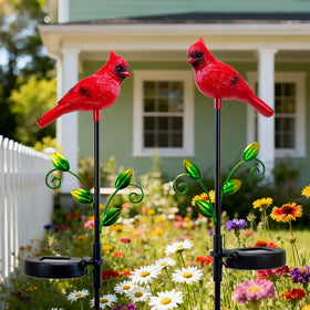 Elfengarden cardinal decor for patio or lawn with warm glow