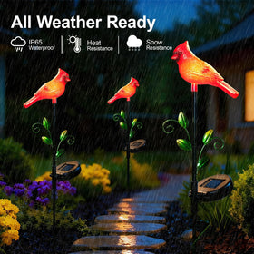 Elfengarden cardinal solar light on at night without wiring hassles