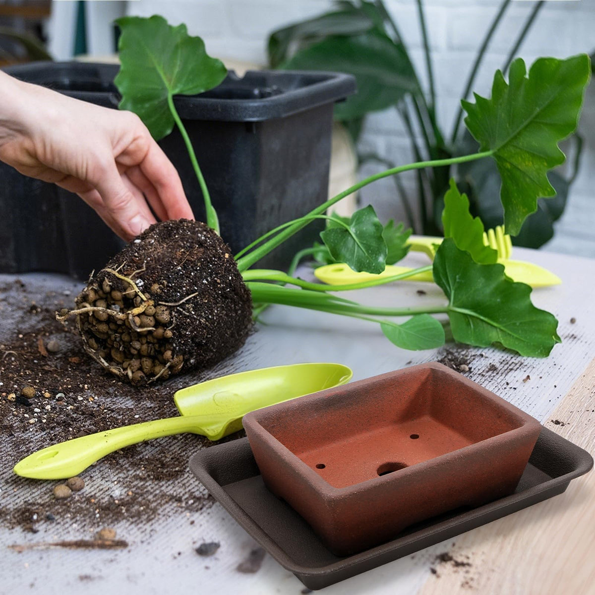 ELFULLY bottom mesh pad prevents soil loss while watering.
