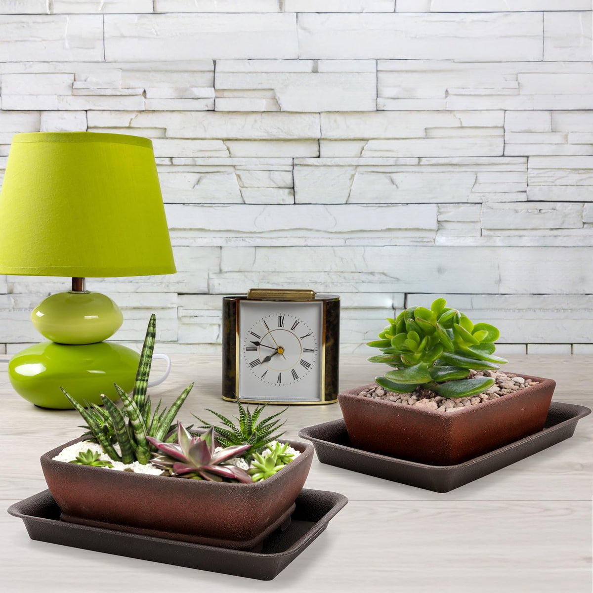 ELFULLY bonsai starter kit set is gift-ready for plant lovers.