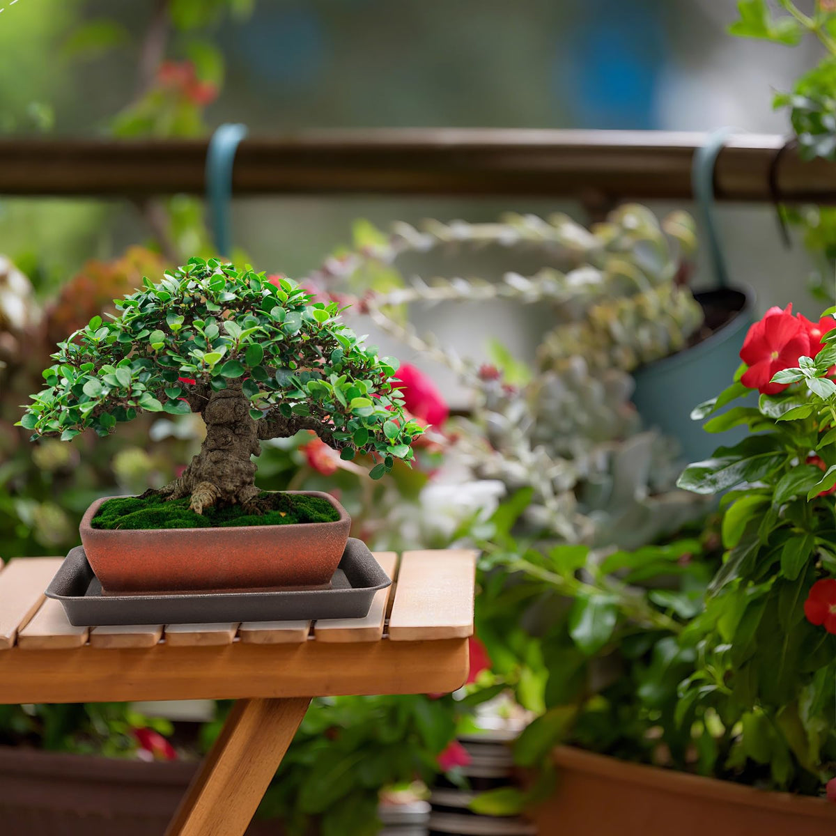 ELFULLY brown terracotta look adds vintage charm to any space.