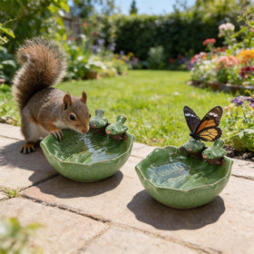 ELFULLY butterfly water basin supports pollinators in small spaces