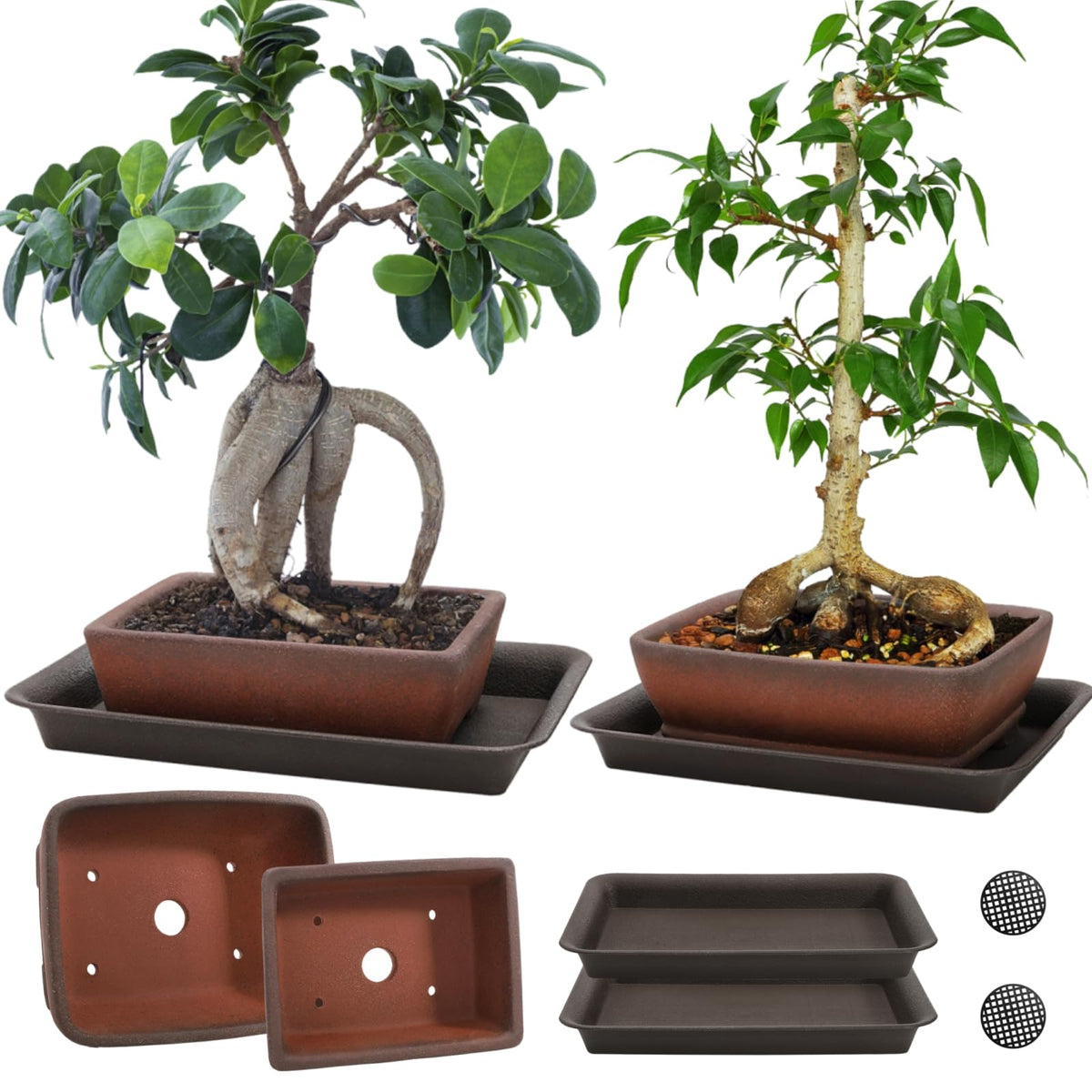 ELFULLY ceramic bonsai pot 6-inch with drainage holes for healthy root airflow.