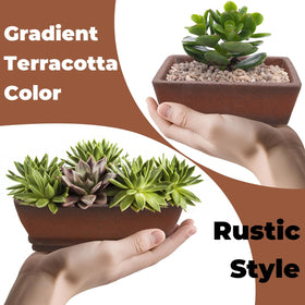 ELFULLY rectangle unglazed bonsai pot with rustic finish enhances natural look.