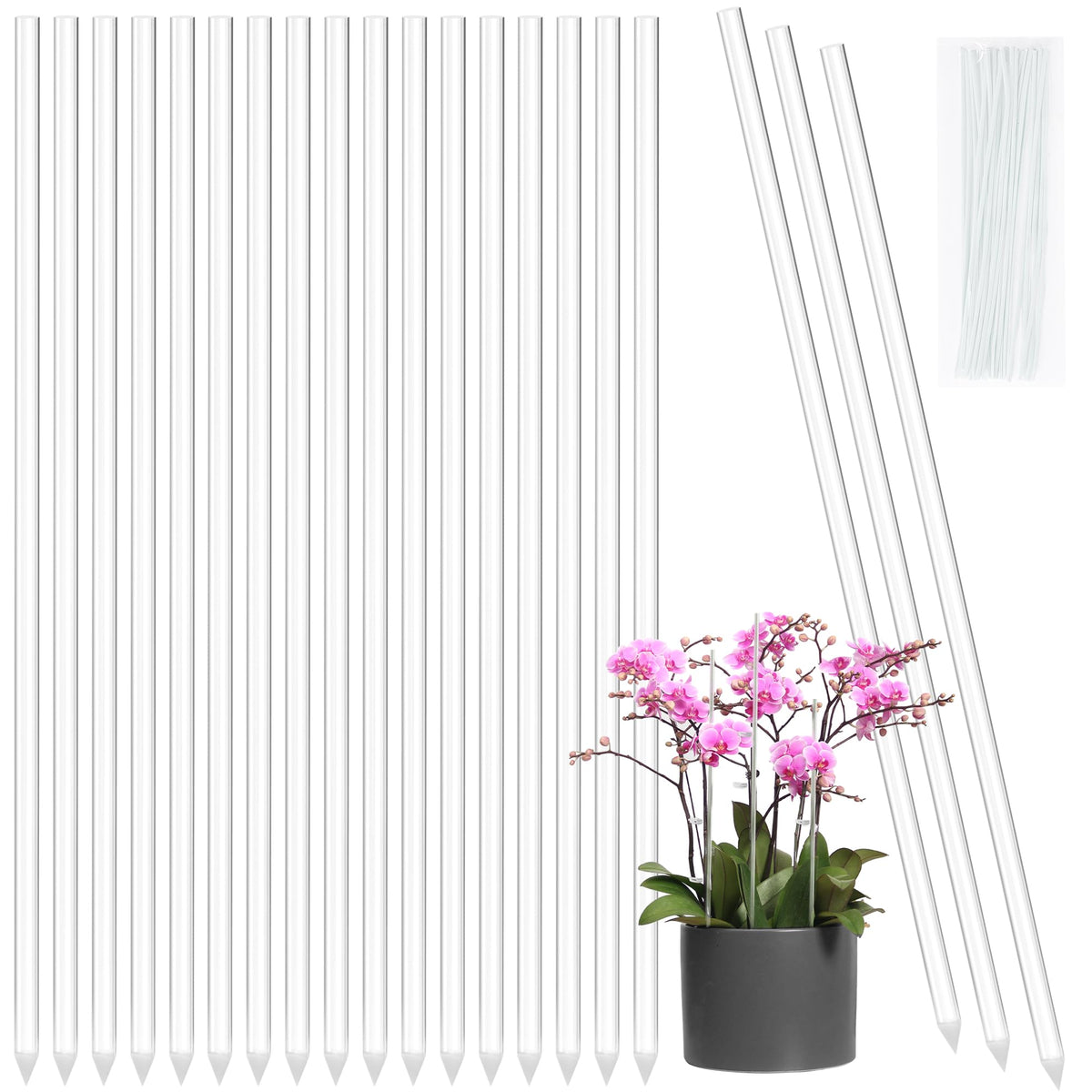Elitekwell clear orchid stake supports upright growth discreetly.