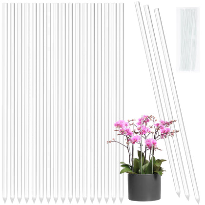 Elitekwell clear orchid stake supports upright growth discreetly.