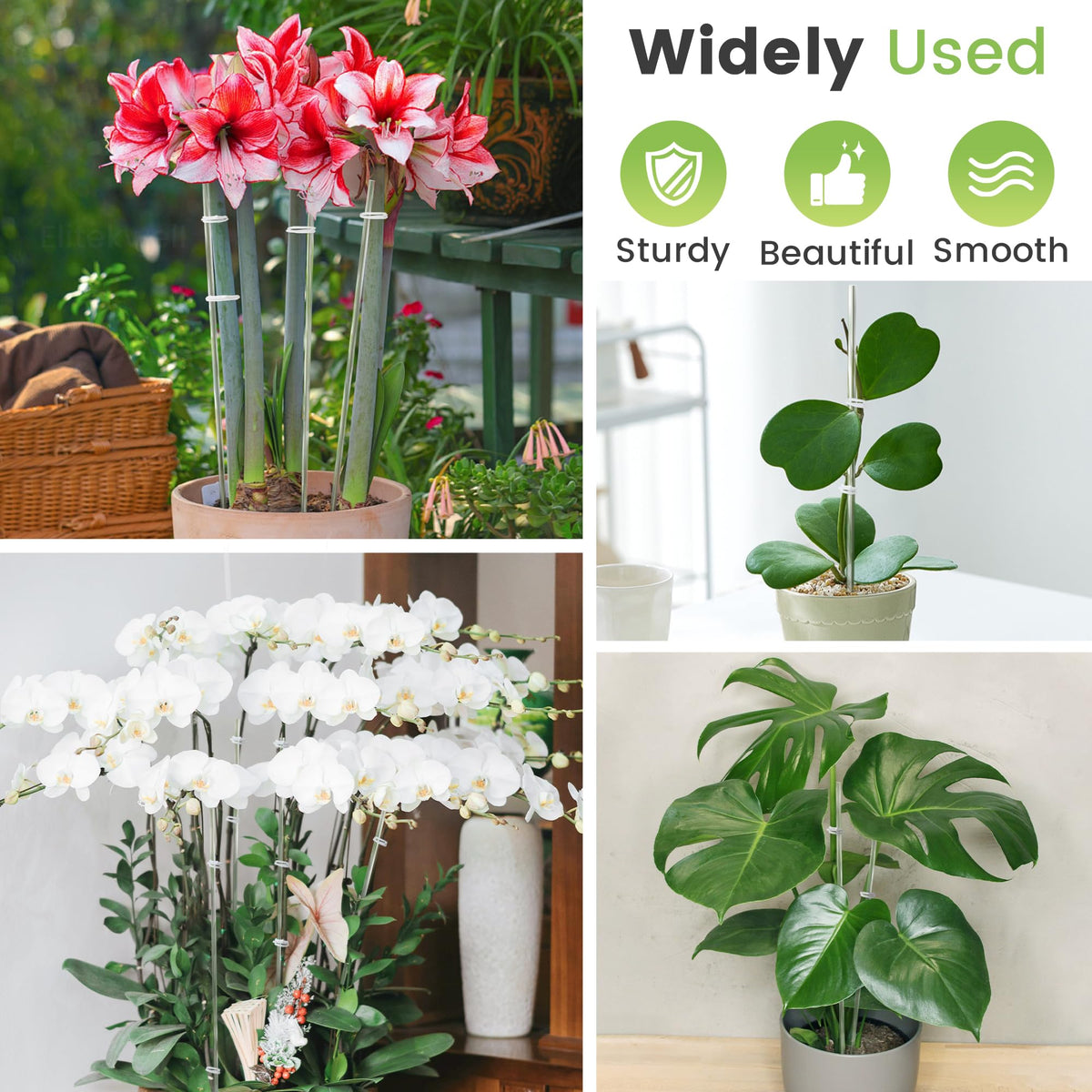 Elitekwell clear stakes enhance plant displays without distracting from flowers.