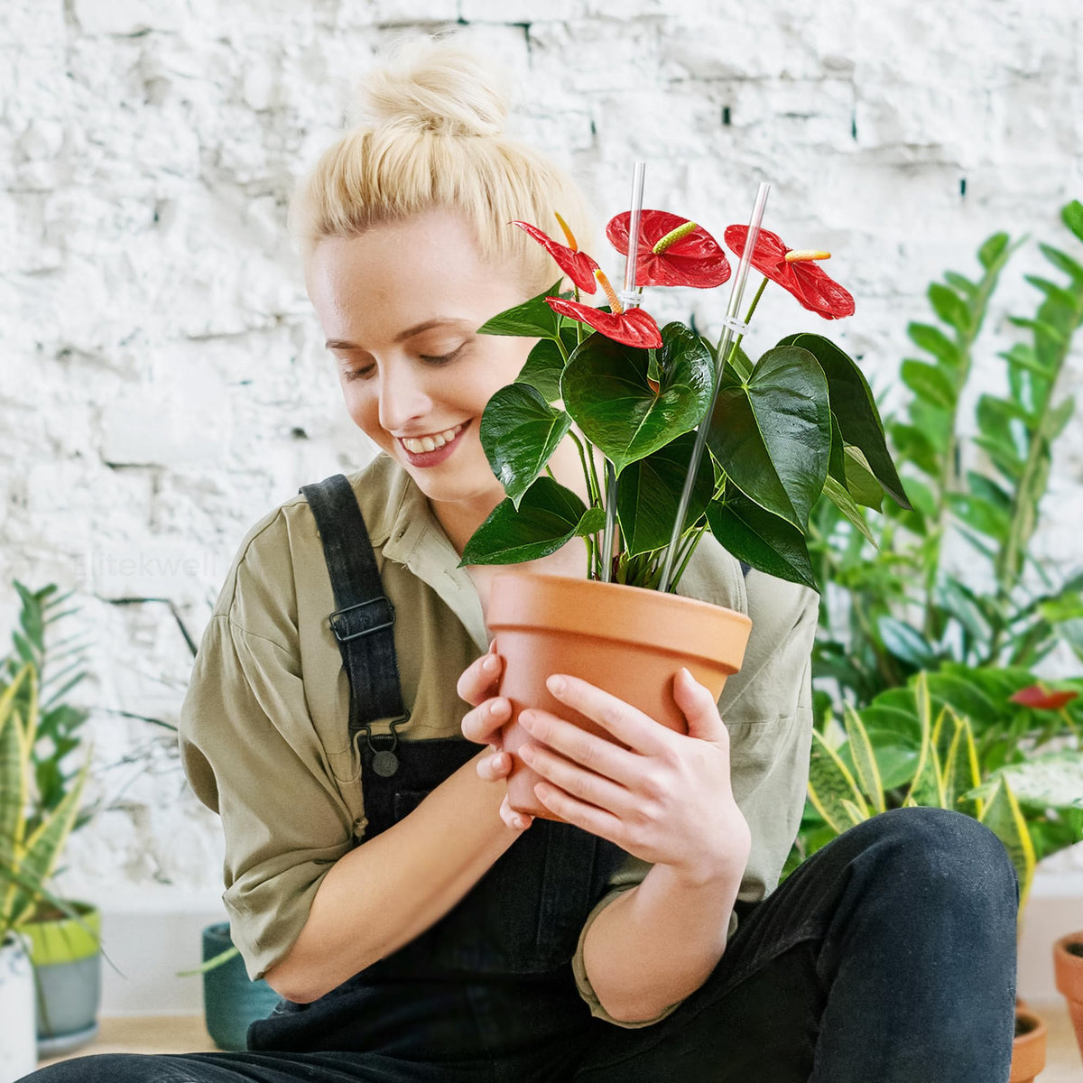 Elitekwell twist ties secure stems for neat blooms.