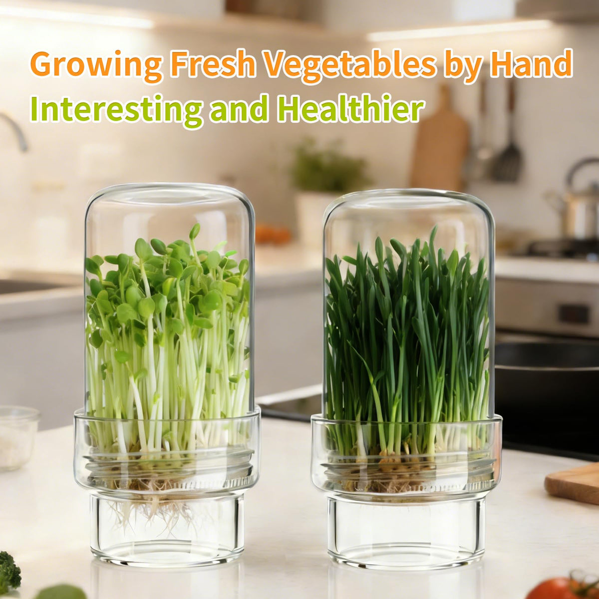 Elitrivox BPA-free materials showcase glass jars and stainless lids.