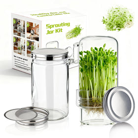 Elitrivox sprouting kit overview showing a clean, beginner-friendly setup for home sprouts.