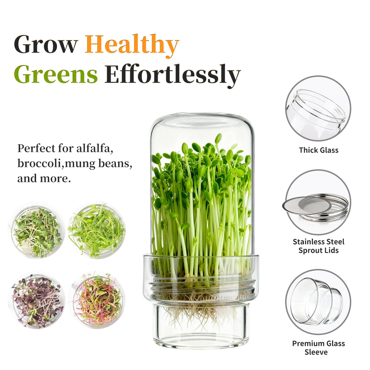 Elitrivox stainless steel lids close-up on clear glass for safe sprouting.