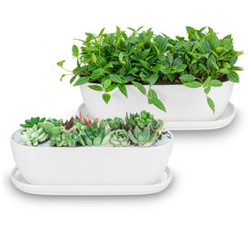 E-liu 11-inch ceramic pot with drainage holes for healthy indoor plants.