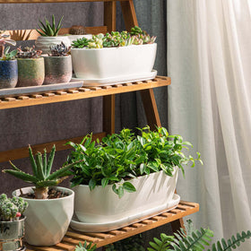 E-liu 14-inch ceramic pot for larger plants on shelves or patios.