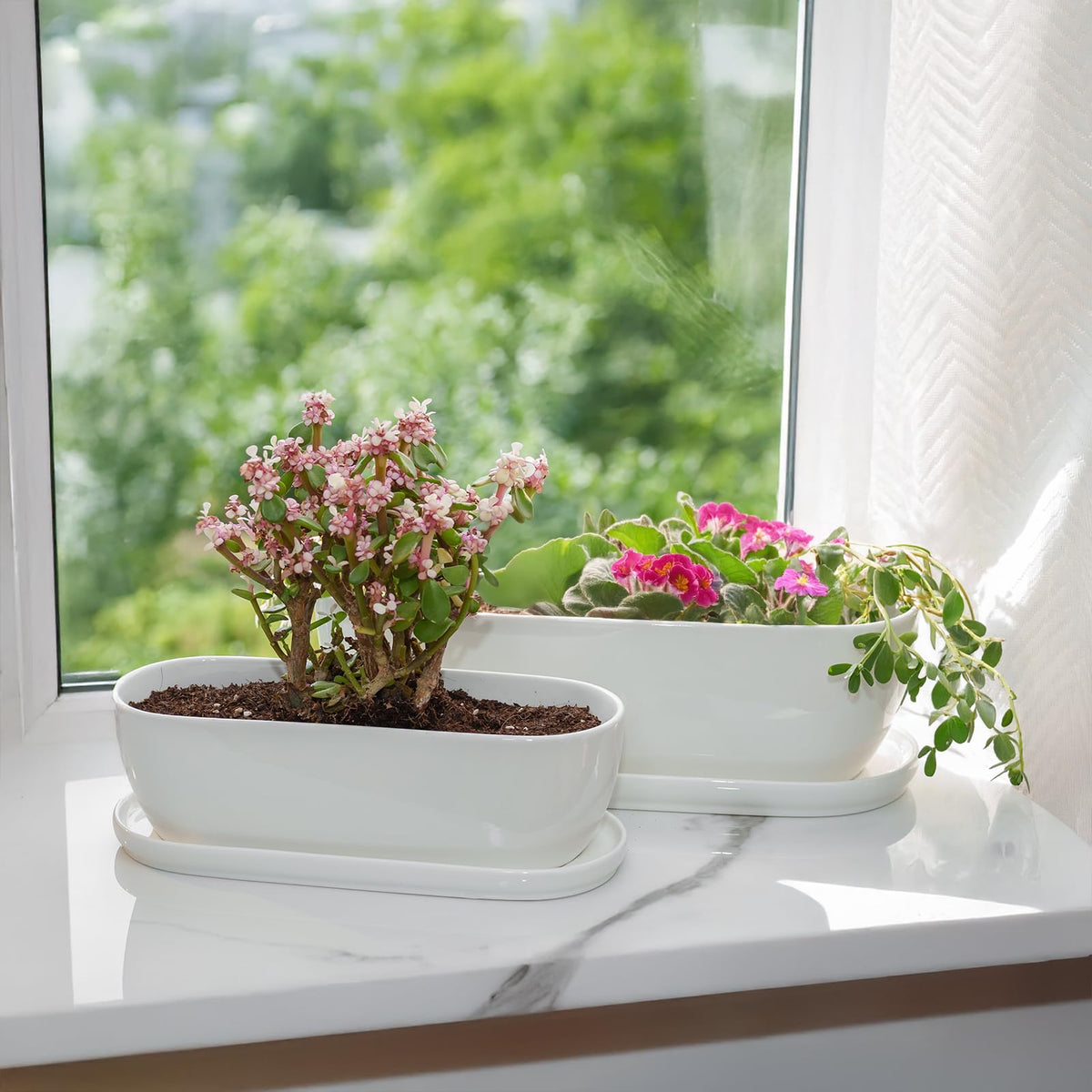 E-liu gift-ready ceramic pot set ideal for plant lovers.