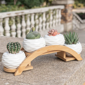 E-liu compact gift-ready box packaging for a thoughtful housewarming present
