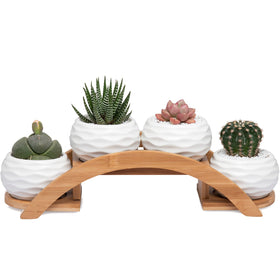E-liu succulent pots arch stand: sleek ceramic planters framed by a graceful arch for stylish home decor