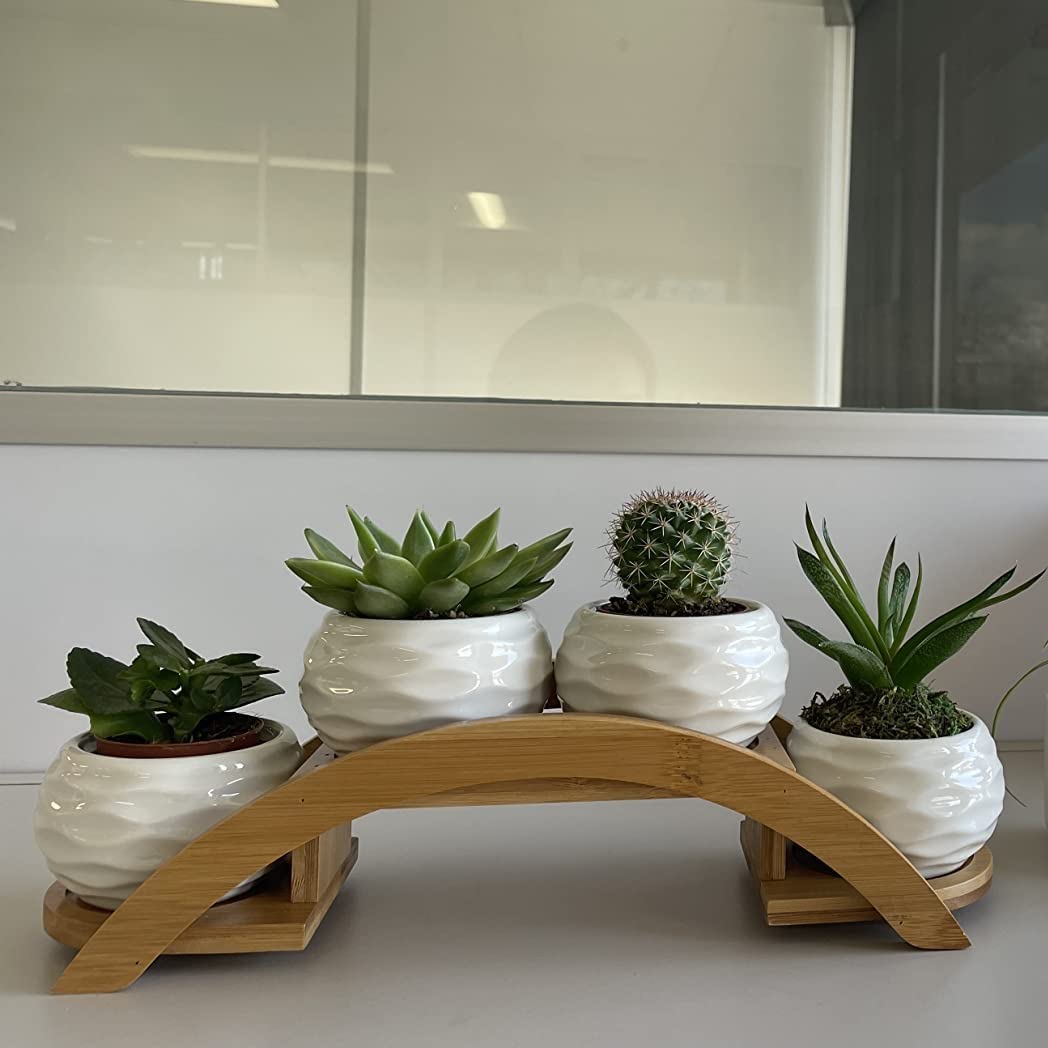E-liu planters brighten windowsills and desks as stylish indoor decor