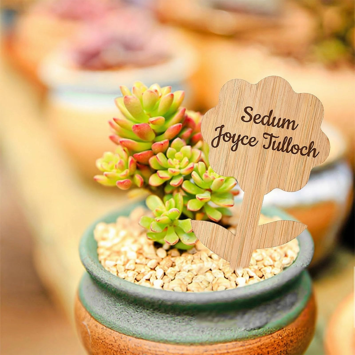 Elsjoy bamboo plant labels house shape ideal for marking seed trays and beds.