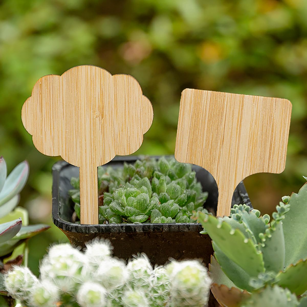 Elsjoy bamboo plant labels mushroom shape playful markers for herbs and succulents.