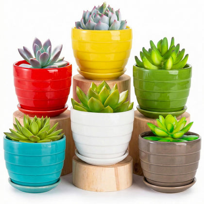 Elsjoy ceramic succulent pot with 4.3-inch diameter for compact plants.